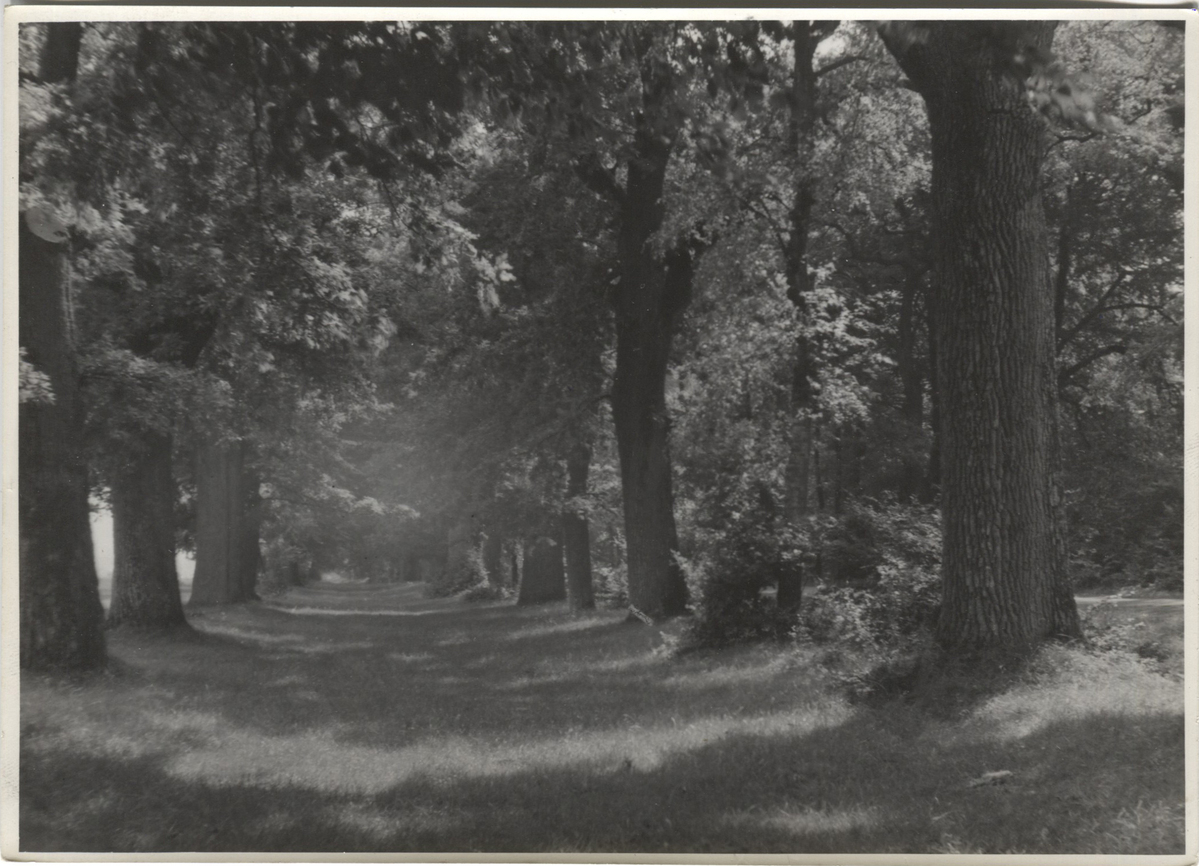 Fotograf: Hickstein, Carmen, Copyright: 1