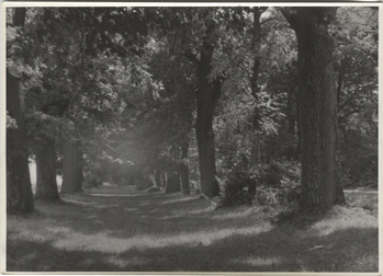 Fotograf: Hickstein, Carmen, Copyright: 1
