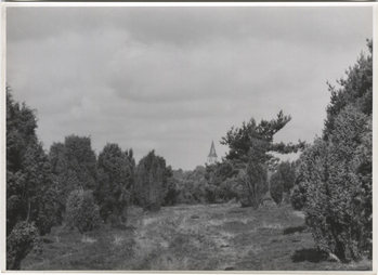 Fotograf: Hickstein, Carmen, Copyright: 1