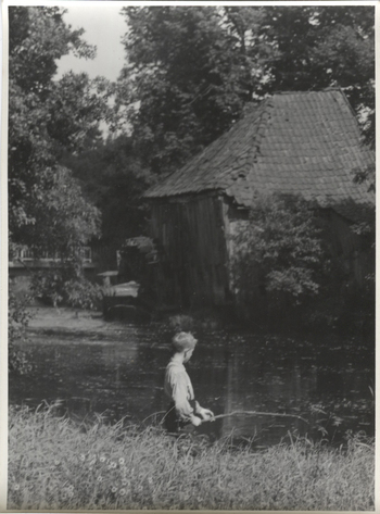 Fotograf: Hickstein, Carmen, Copyright: 1