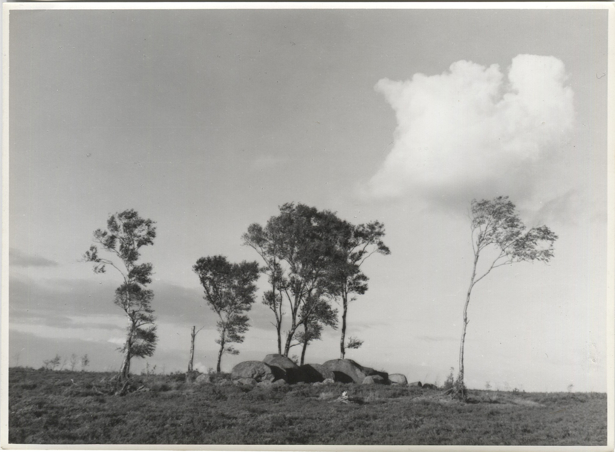 Fotograf: Hickstein, Carmen, Copyright: 1