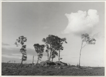 Fotograf: Hickstein, Carmen, Copyright: 1