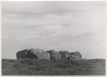 Fotograf: Hickstein, Carmen, Copyright: 1