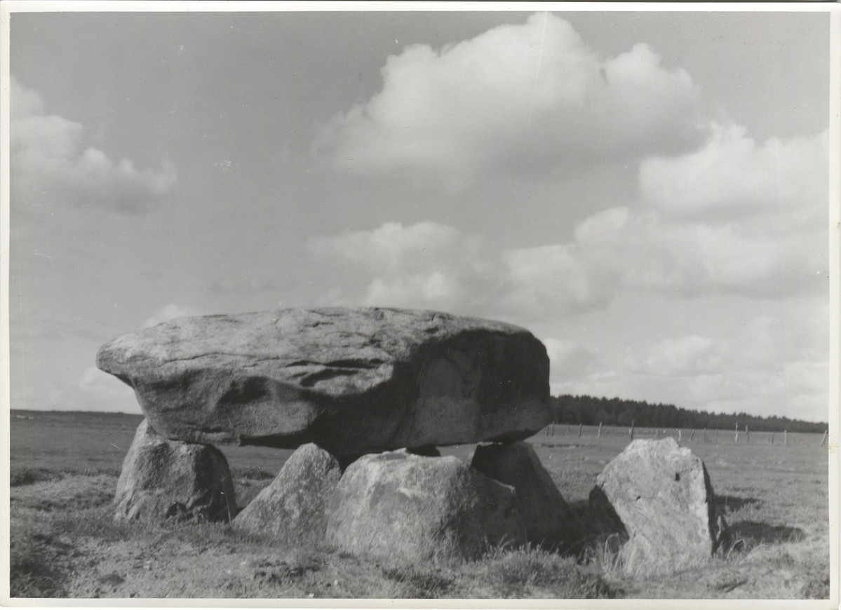 Fotograf: Hickstein, Carmen, Copyright: 1