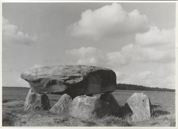 Fotograf: Hickstein, Carmen, Copyright: 1