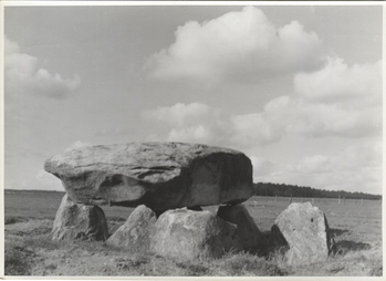 Fotograf: Hickstein, Carmen, Copyright: 1