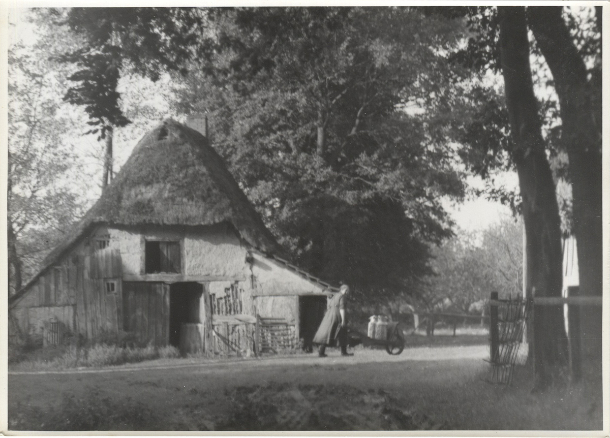 Fotograf: Hickstein, Carmen, Copyright: 1