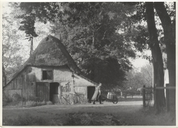 Fotograf: Hickstein, Carmen, Copyright: 1