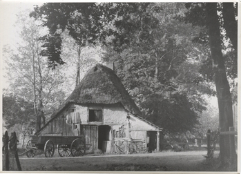 Fotograf: Hickstein, Carmen, Copyright: 1