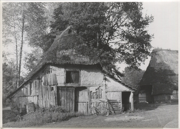 Fotograf: Hickstein, Carmen, Copyright: 1