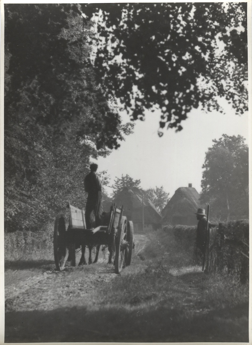 Fotograf: Hickstein, Carmen, Copyright: 1