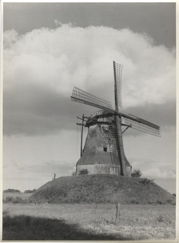 Fotograf: Hickstein, Carmen, Copyright: 1