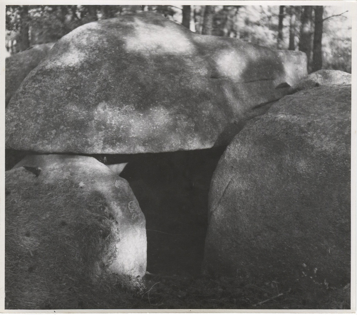 Fotograf: Hickstein, Carmen, Copyright: 1