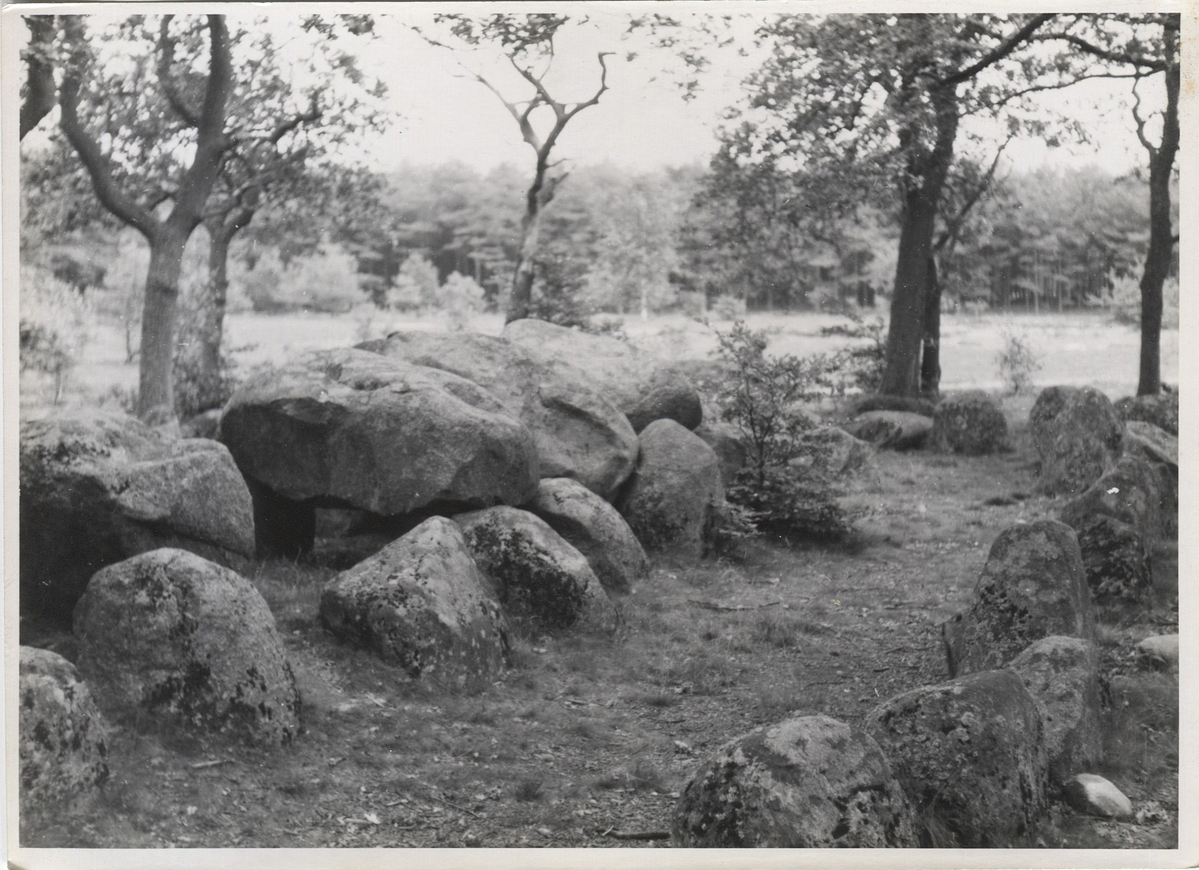 Fotograf: Hickstein, Carmen, Copyright: 1