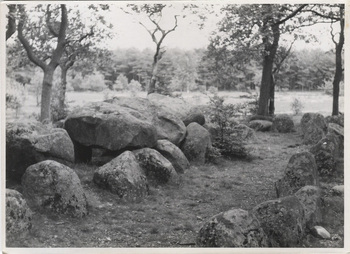 Fotograf: Hickstein, Carmen, Copyright: 1