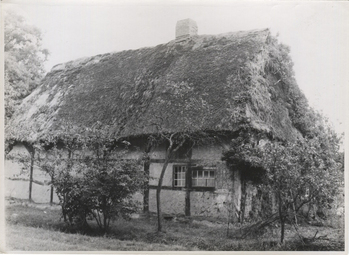 Fotograf: Hickstein, Carmen, Copyright: 1