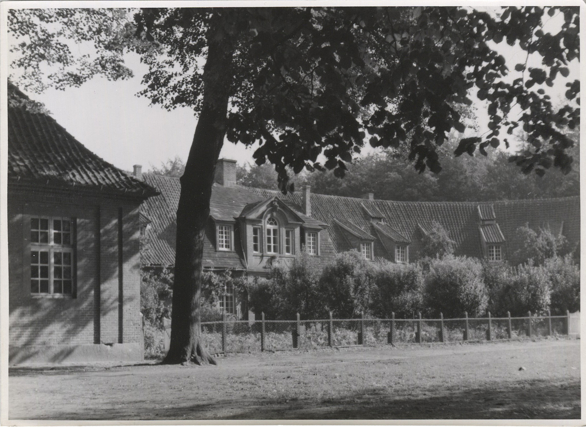 Fotograf: Hickstein, Carmen, Copyright: 1