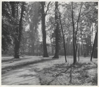 Fotograf: Hickstein, Carmen, Copyright: 1