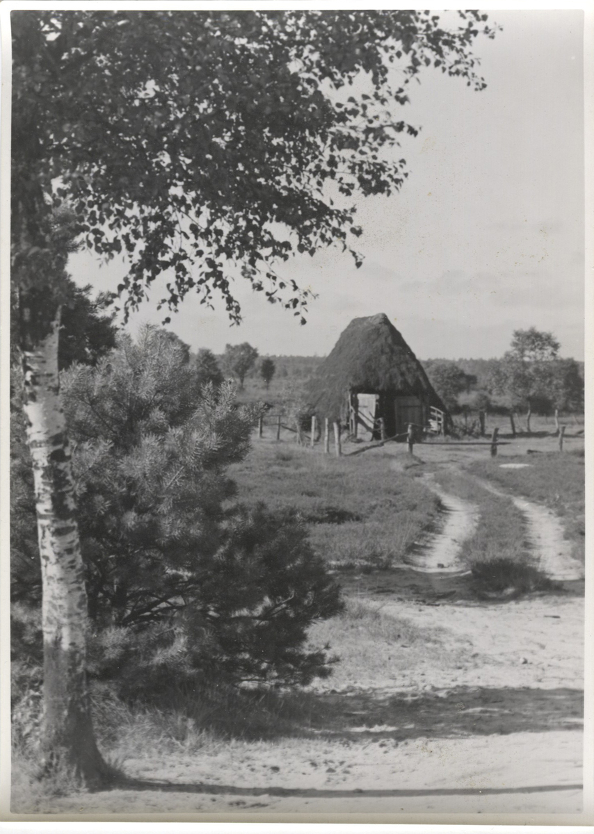 Fotograf: Hickstein, Carmen, Copyright: 1