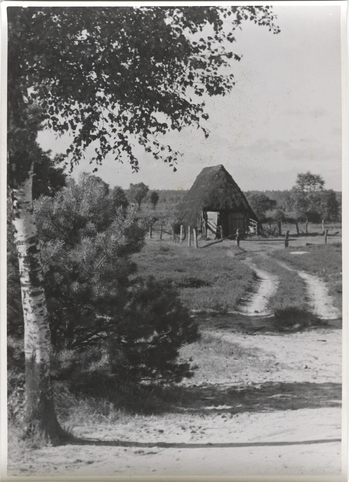 Fotograf: Hickstein, Carmen, Copyright: 1