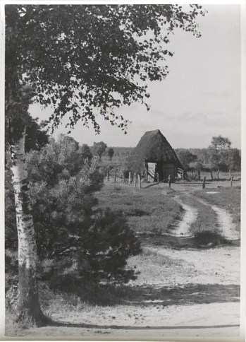 Fotograf: Hickstein, Carmen, Copyright: 1