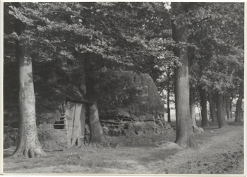 Fotograf: Hickstein, Carmen, Copyright: 1