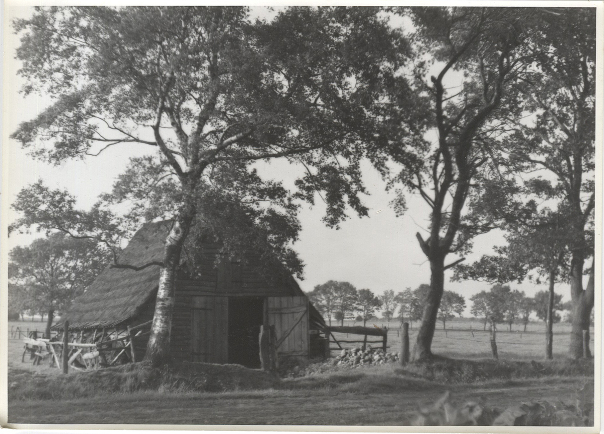 Fotograf: Hickstein, Carmen, Copyright: 1