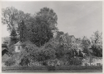 Photographer: Hickstein, Carmen, Copyright: 1