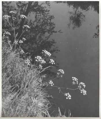 Fotograf: Hickstein, Carmen, Copyright: 1