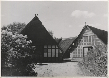 Fotograf: Hickstein, Carmen, Copyright: 1