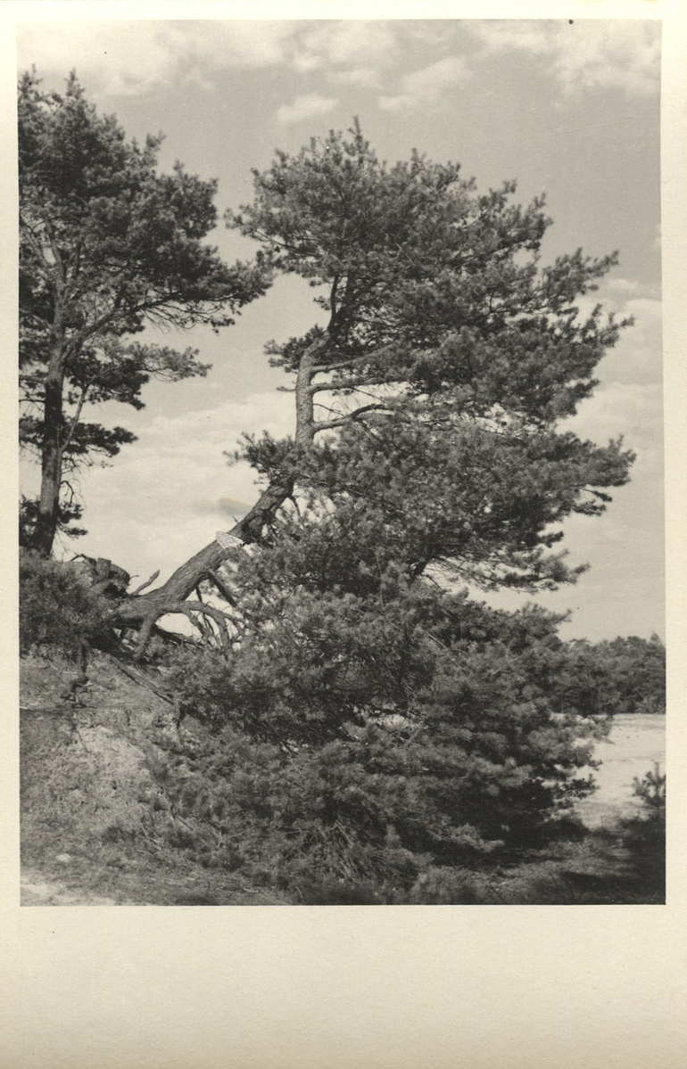 Fotograf: Hickstein, Carmen, Copyright: 1