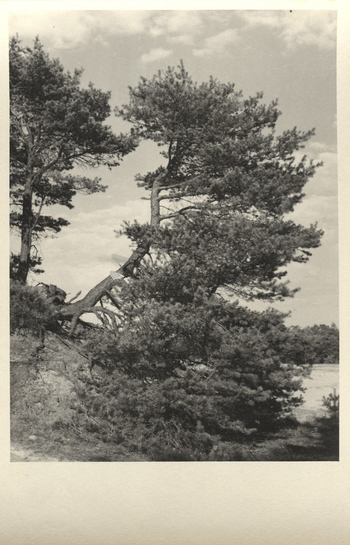 Fotograf: Hickstein, Carmen, Copyright: 1