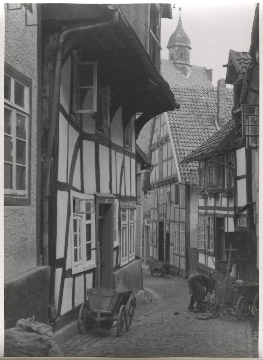 Fotograf: Hickstein, Carmen, Copyright: 1