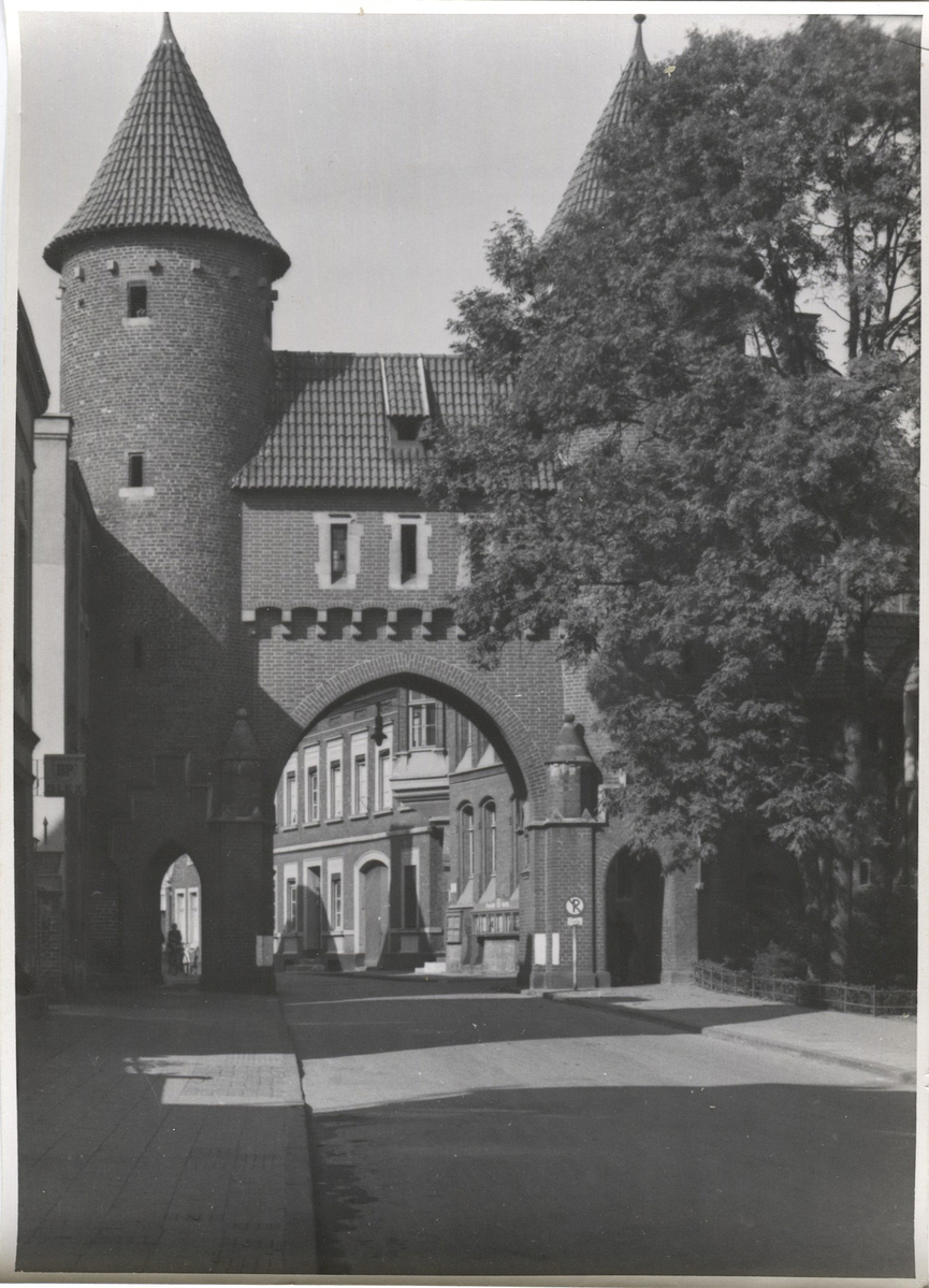 Fotograf: Hickstein, Carmen, Copyright: 1