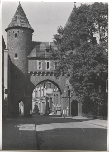 Fotograf: Hickstein, Carmen, Copyright: 1