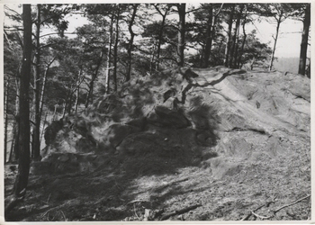 Fotograf: Hickstein, Carmen, Copyright: 1