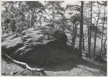 Fotograf: Hickstein, Carmen, Copyright: 1