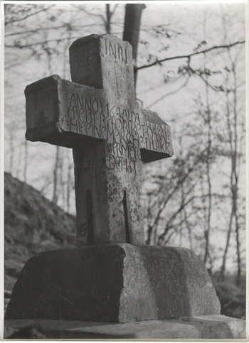 Fotograf: Hickstein, Carmen, Copyright: 1