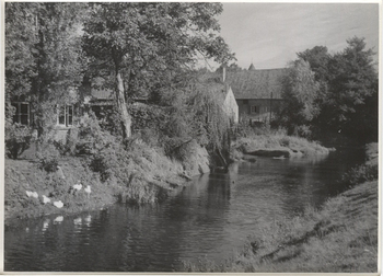 Fotograf: Hickstein, Carmen, Copyright: 1