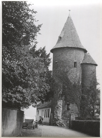 Fotograf: Hickstein, Carmen, Copyright: 1