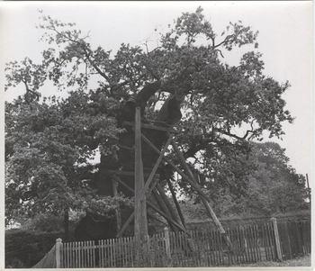 Fotograf: Hickstein, Carmen, Copyright: 1