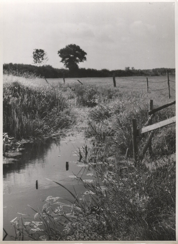 Fotograf: Hickstein, Carmen, Copyright: 1