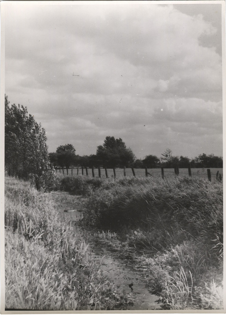 Fotograf: Hickstein, Carmen, Copyright: 1