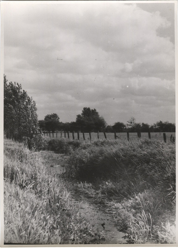 Photographer: Hickstein, Carmen, Copyright: 1