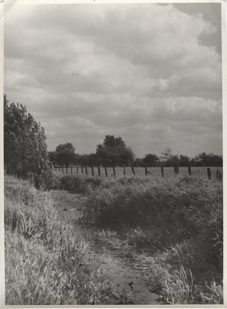Fotograf: Hickstein, Carmen, Copyright: 1