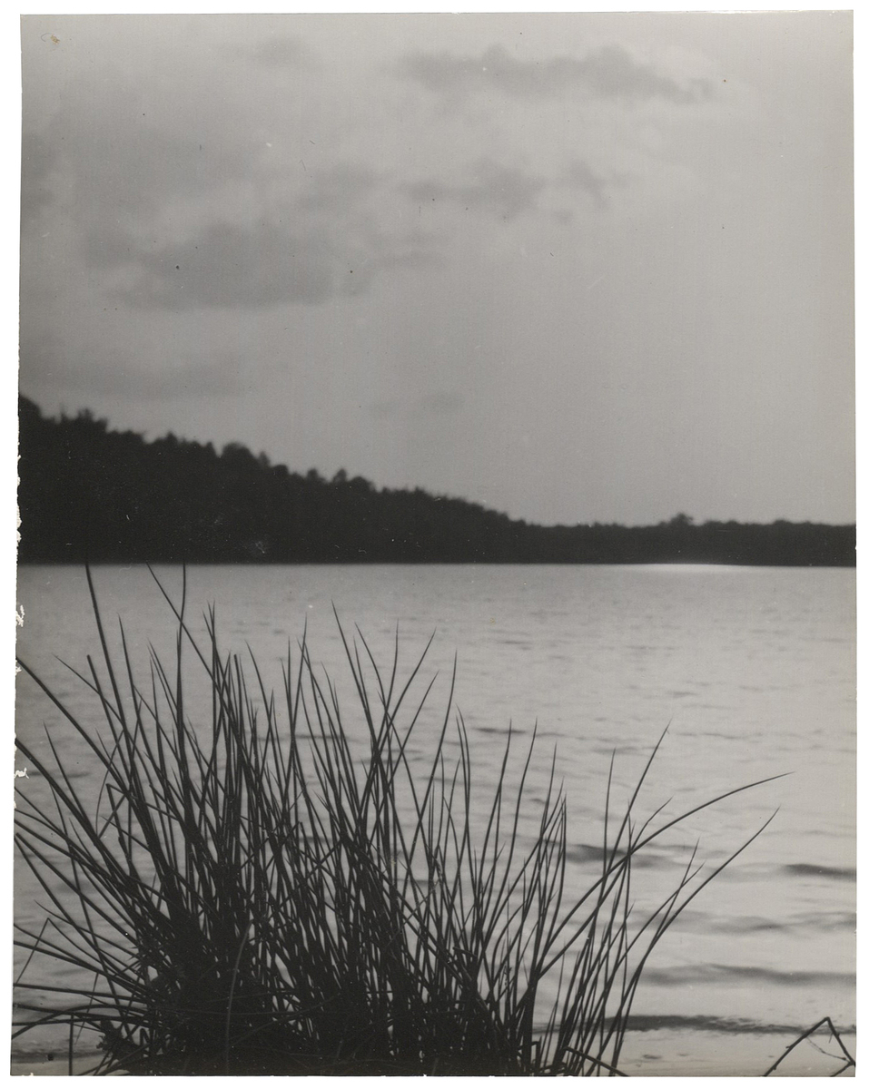 Fotograf: Hickstein, Carmen, Copyright: 1