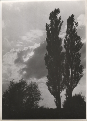 Fotograf: Hickstein, Carmen, Copyright: 1