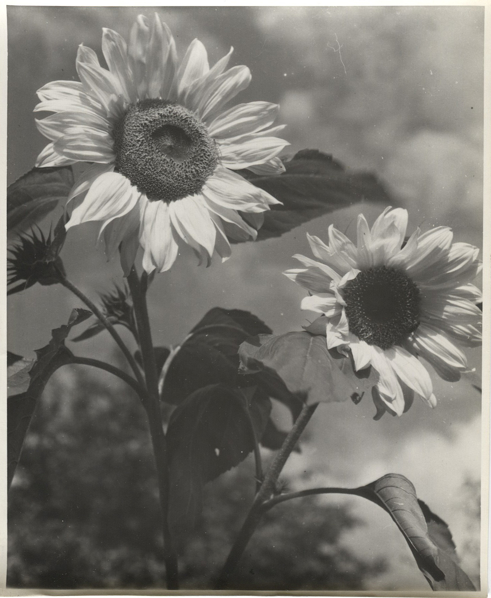 Fotograf: Hickstein, Carmen, Copyright: 1