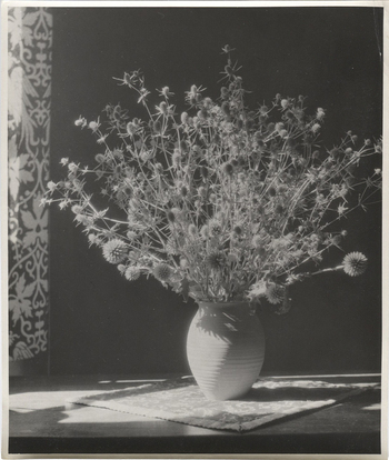 Photographer: Hickstein, Carmen, Copyright: 1