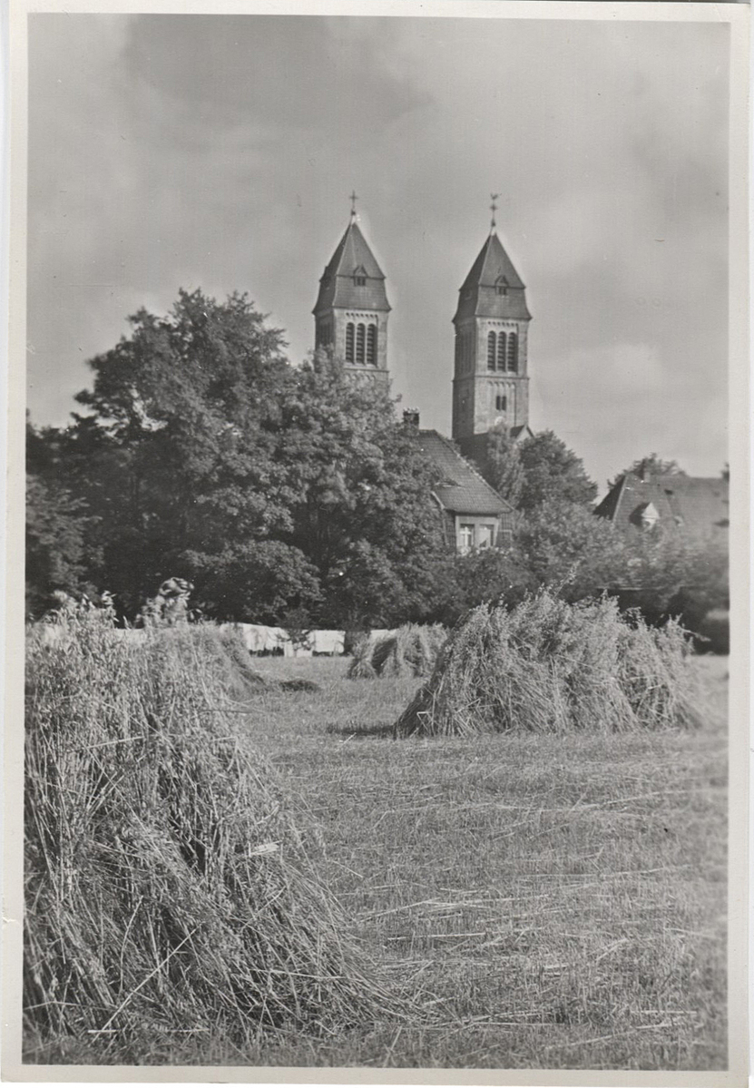 Photographer: Hickstein, Carmen, Copyright: 1
